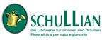 logo Schullian dtit RGB