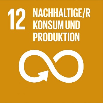 Ziel 12: Für nachhaltige Konsum- und Produktionsmuster sorgen
